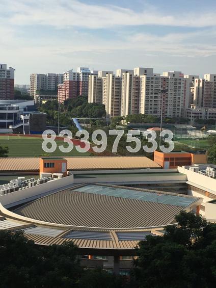 Ris Grandeur (D18), Condominium #135466312
